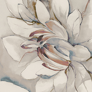 COTTO PETRUS DECORO WHISPER 60×120 — minijatura 2