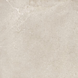 COTTO PETRUS NEW STONE DAINO OUT 60X120