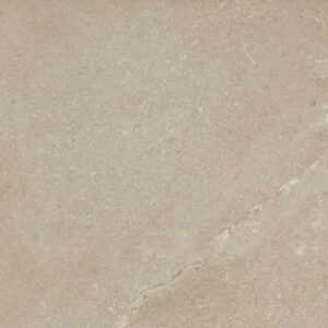 COTTO PETRUS NEW STONE VISONE OUT 60X120